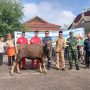 PT Timah Serahkan 39 Hewan Qurban kepada Pemda Bangka Barat