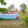 Bangka Selatan Kebagian 31 Ekor Hewan Qurban dari PT Timah