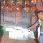 Seruduk Truk Muatan Sawit dari Belakang, Pengendara Motor Tewas di TKP
