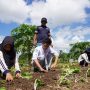 PT Timah Ajak Pelajar di Bangka Berpetualang Sambil Mengenal Reklamasi