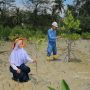 PT Timah Tanam Mangrove Dukung Target Indonesia Kejar Net Zero Emissions