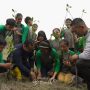 PT Timah Perkuat Reklamasi Lahan Bekas Tambang untuk Jaga Kelestarian Lingkungan