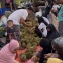 Pendaftaran Kontes Durian Lokal Babel 2026 di Desa Pelangas Mulai Dibuka hingga 7 Juli, Gratis!