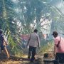 Kebakaran Lahan di Kelekak Kabung Tempilang, Luas Lahan Terbakar Capai 4,2 Hektare