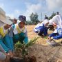 Bekas Lapangan Golf di Kecamatan Mentok Mulai Ditanami Ratusan Pohon