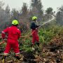 PT Timah Bersama Grup MIND ID Kerahkan Tim Fire Fighter Bantu Padamkan Karhutla di Kalimantan Barat